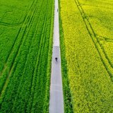 Ecorobotix est notamment spécialisée dans la pulvérisation intelligente des cultures (photo d'illustration).